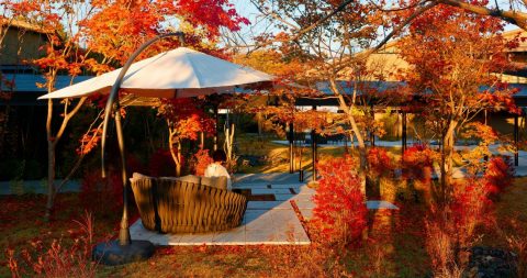 come arredare gli spazi esterni in autunno